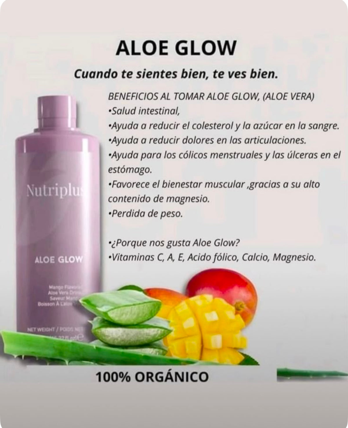 Combo DETOX (Té + Aloe)