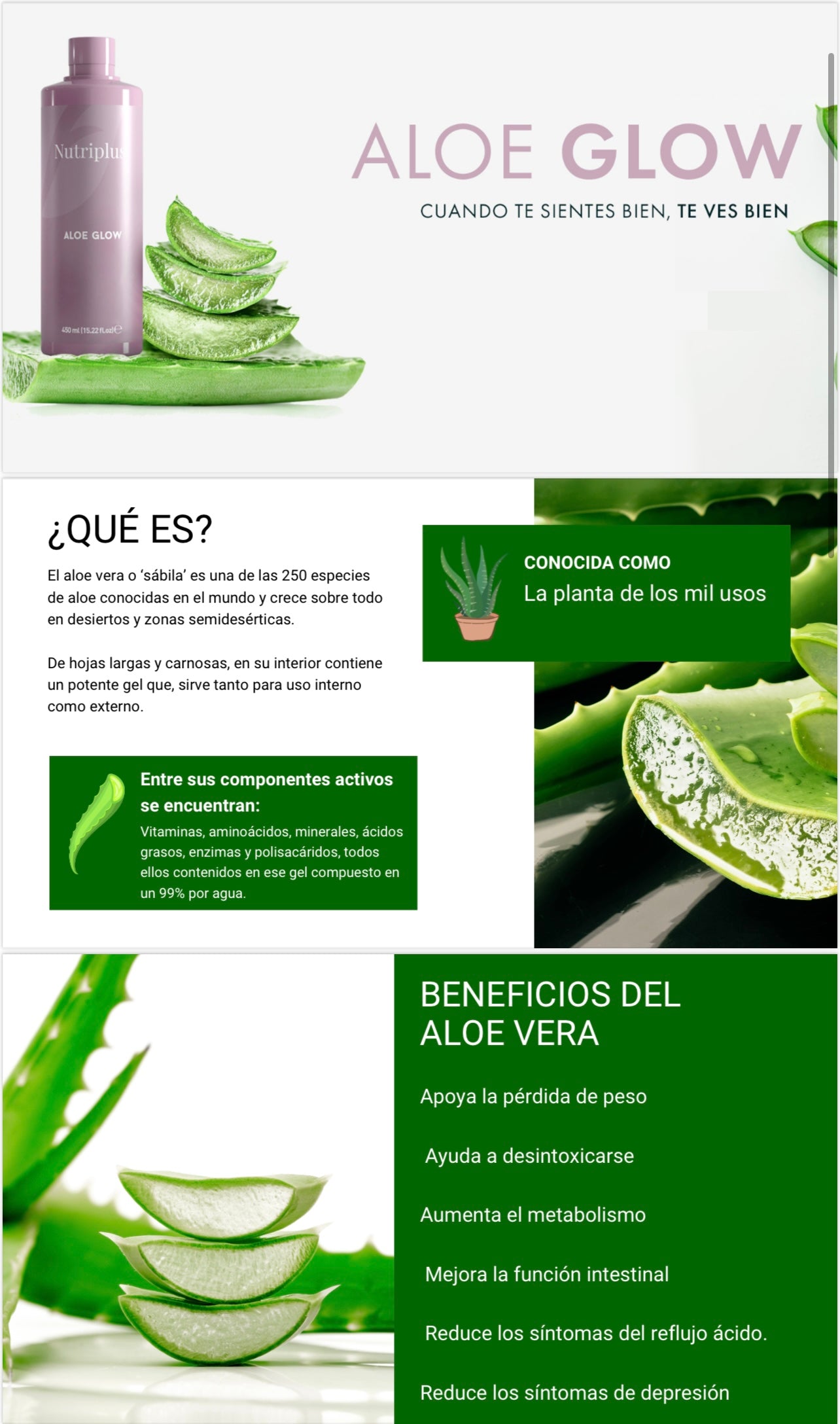 Aloe Glow