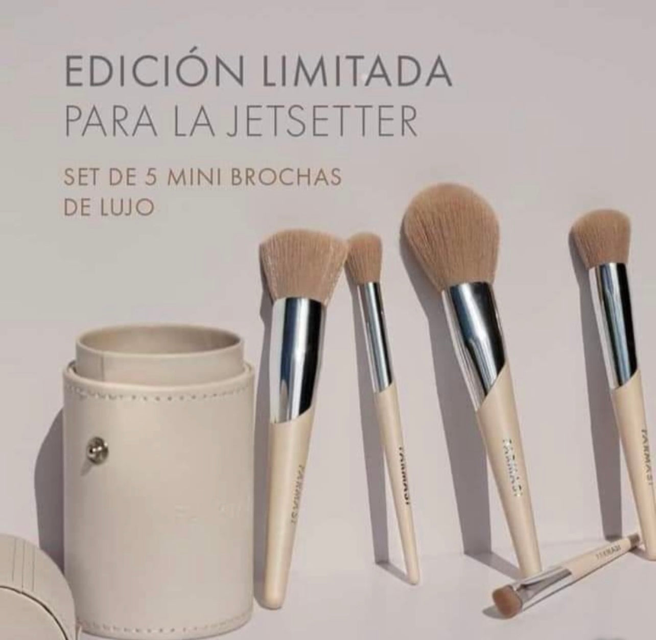Set Mini Brochas Edición Limitada