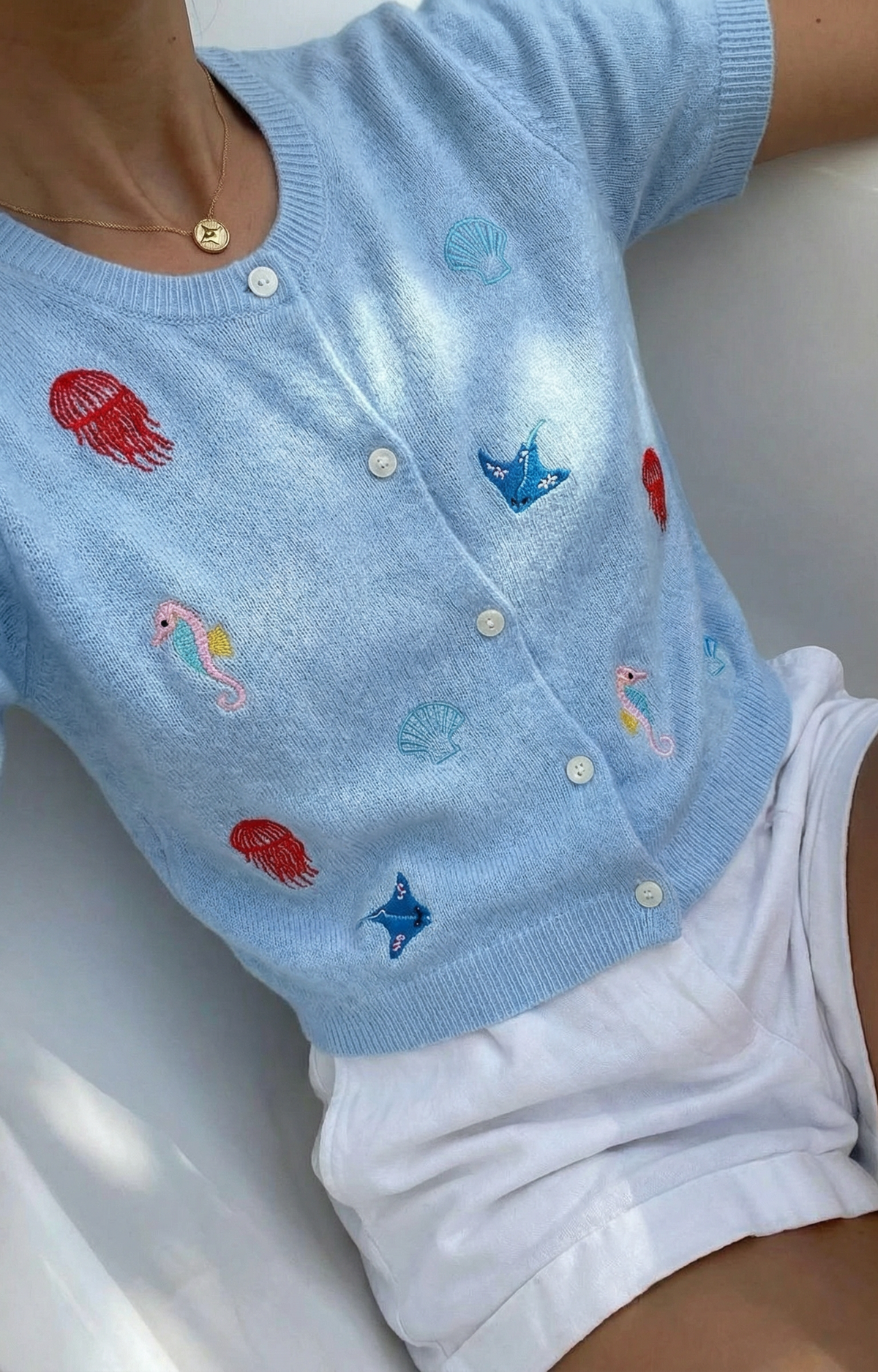 Jersey Peces
